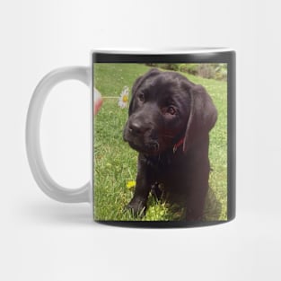 puppy dog and a flower Mug